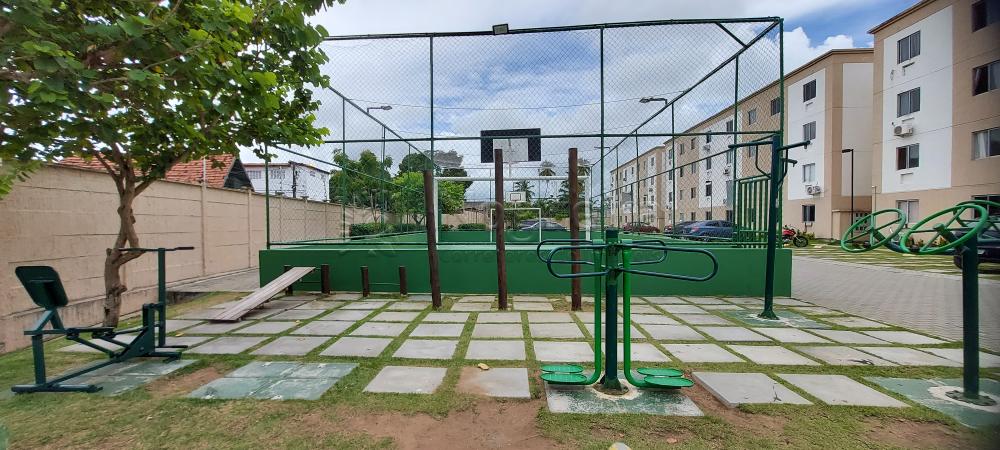 Imagem Apartamento com 2 Quartos à Venda, 42 m²em Barra de Jangada - Jaboatão dos Guararapes Imagem Apartamento com 2 Quartos à Venda, 42 m²em Barra de Jangada - Jaboatão dos Guararapes