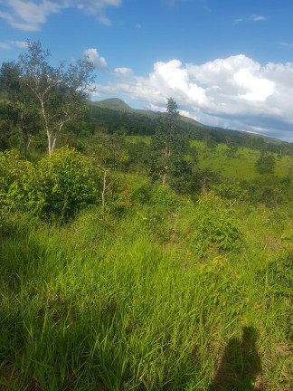 Imagem Fazenda à Venda, em Área Rural - Padre Bernardo Imagem Fazenda à Venda, em Área Rural - Padre Bernardo