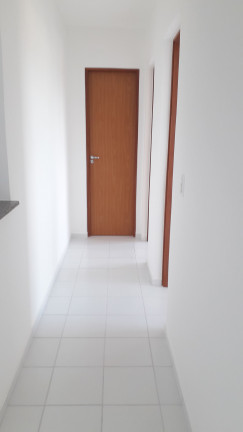 Imagem Apartamento com 2 Quartos para Alugar, 50 m² em Centro - Ananindeua Imagem Apartamento com 2 Quartos para Alugar, 50 m² em Centro - Ananindeua
