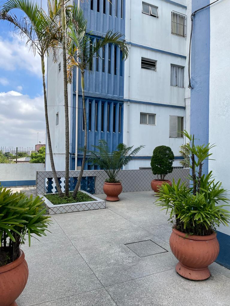 Imagem Apartamento com 2 Quartos à Venda, 49 m²em Conjunto Habitacional Padre Manoel da Nóbrega - São Paulo Imagem Apartamento com 2 Quartos à Venda, 49 m²em Conjunto Habitacional Padre Manoel da Nóbrega - São Paulo
