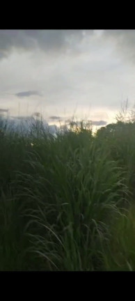 Imagem Terreno à Venda, 20.000 m² em Chácaras Brasil B - Valparaíso de Goiás