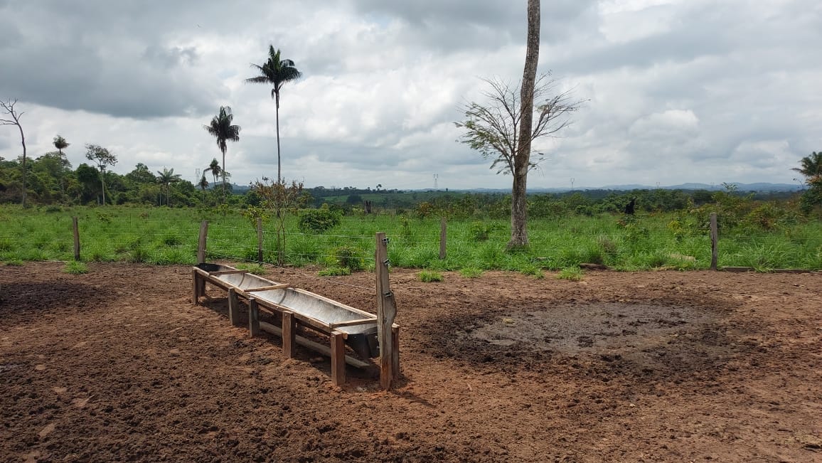 Imagem Fazenda à Venda, 9 Alq MGem Nova Marabá - Marabá