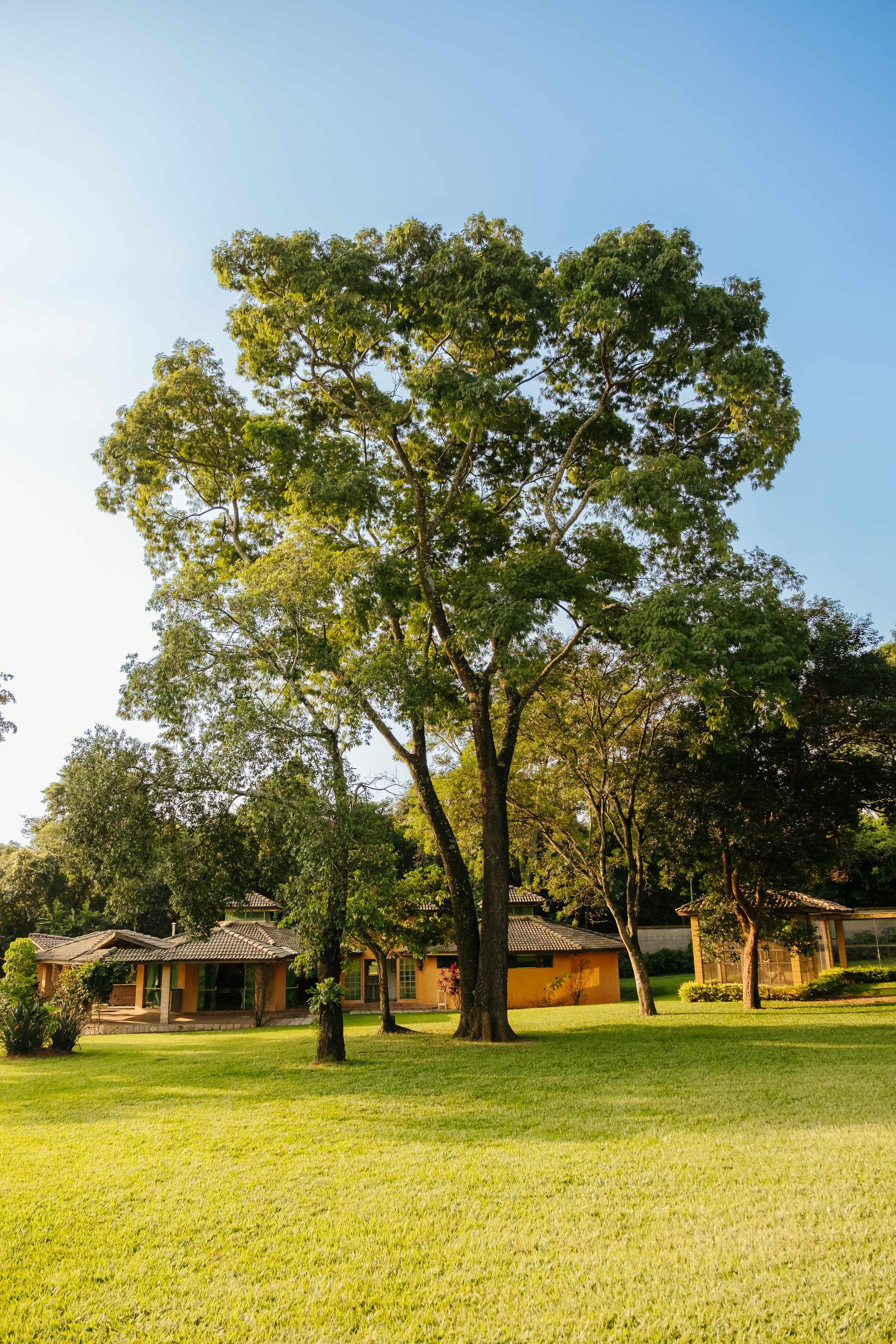 Imagem Terreno à Venda, 384 m²em Helvetia - Indaiatuba Imagem Terreno à Venda, 384 m²em Helvetia - Indaiatuba