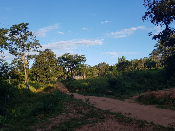 Imagem Fazenda à Venda, em Área Rural - Padre Bernardo Imagem Fazenda à Venda, em Área Rural - Padre Bernardo