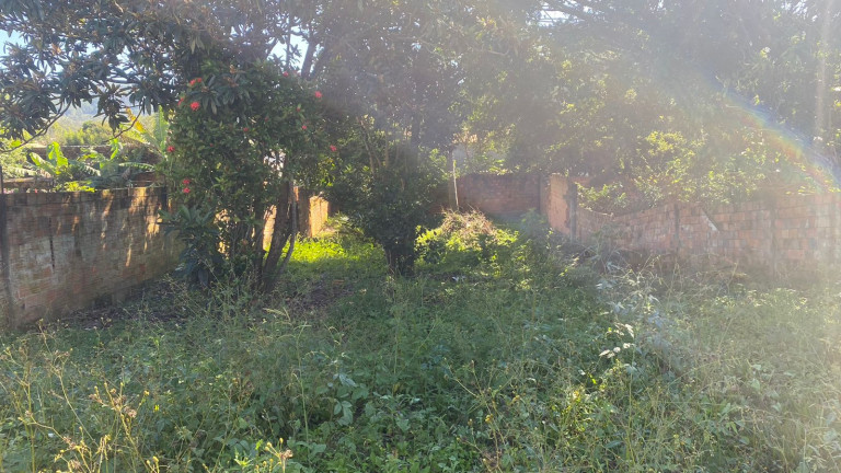 Imagem Terreno à Venda, 533 m² em Wosocris - Criciúma Imagem Terreno à Venda, 533 m² em Wosocris - Criciúma