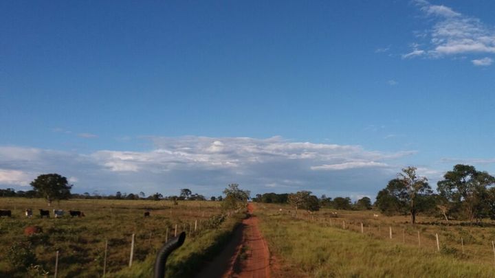 Imagem Fazenda à Venda, 1.864 m² em área Rural De Três Lagoas - Três Lagoas Imagem Fazenda à Venda, 1.864 m² em área Rural De Três Lagoas - Três Lagoas