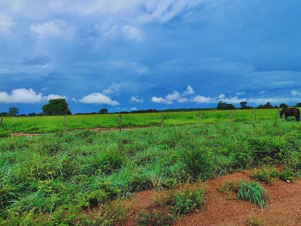 Imagem Fazenda à Venda, 1115 m² em ZONA RURAL - Mundo Novo Imagem Fazenda à Venda, 1115 m² em ZONA RURAL - Mundo Novo