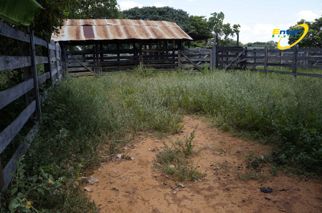 Imagem Fazenda à Venda, 681.000 m² em rural - São João D'Aliança