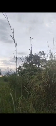 Imagem Terreno à Venda, 20.000 m² em Chácaras Brasil B - Valparaíso de Goiás