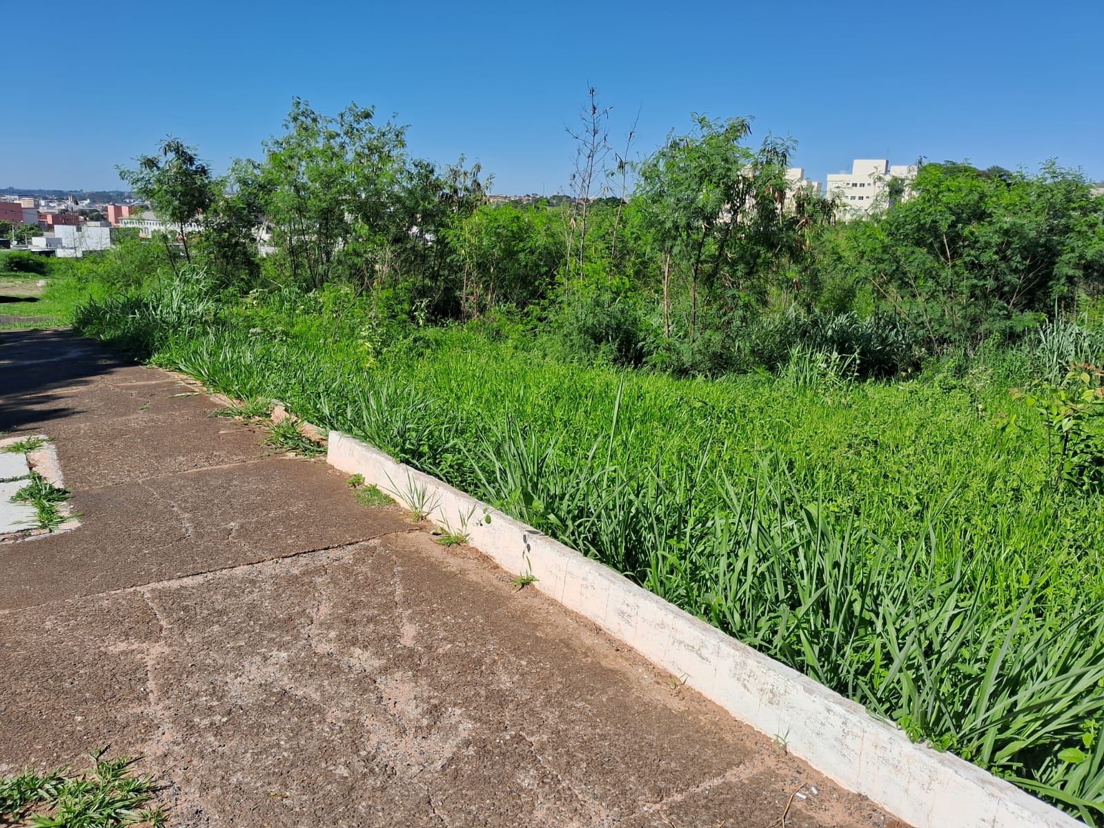Imagem Terreno à Venda, 4.008 m² em Parque São Geraldo - Bauru Imagem Terreno à Venda, 4.008 m² em Parque São Geraldo - Bauru