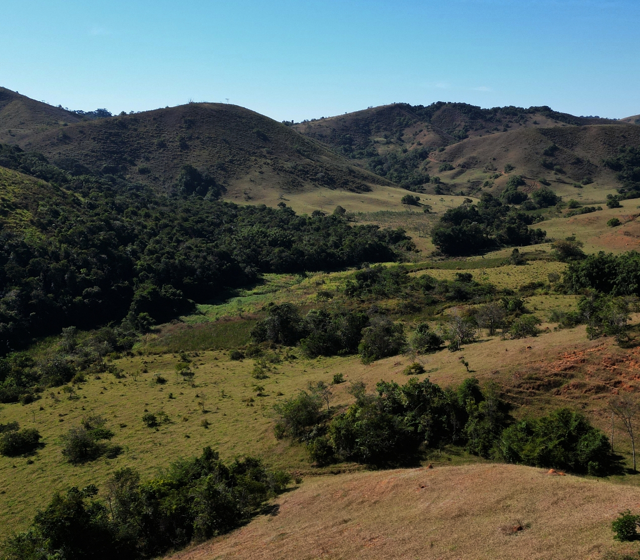 Imagem Fazenda à Venda, 459.000 HA em Área Rural de Valença - Valença