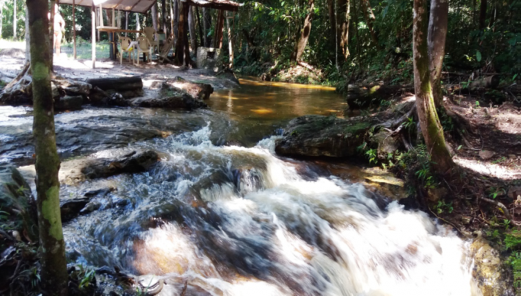 Imagem Chácara com 4 Quartos à Venda, em Ramal urubui - Presidente Figueiredo Imagem Chácara com 4 Quartos à Venda, em Ramal urubui - Presidente Figueiredo
