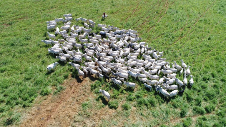 Imagem Terreno à Venda, 11.500 m² em zona rural - Bocaiúva