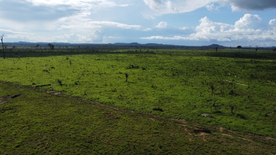 Imagem Fazenda à Venda, 430 m² em Centro  - São Félix do Xingu