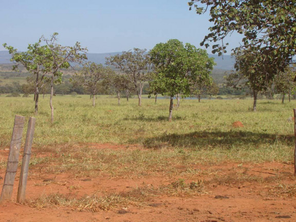 Imagem Fazenda à Venda,  em zona rural - Engenheiro Navarro