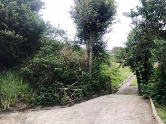 Imagem Terreno à Venda, 1.896 m² em Pontal da Cruz - São Sebastião