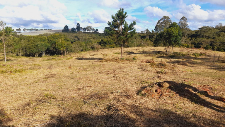 Imagem Terreno à Venda, 500 m² em Verava - Ibiúna