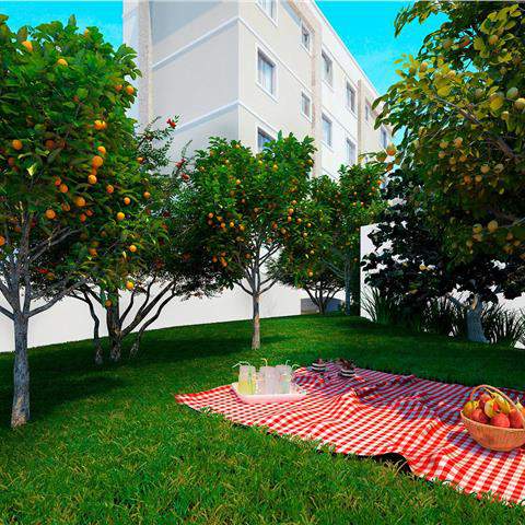 Imagem Apartamento com 2 Quartos à Venda, 42 m² em Cabral - Contagem Imagem Apartamento com 2 Quartos à Venda, 42 m² em Cabral - Contagem
