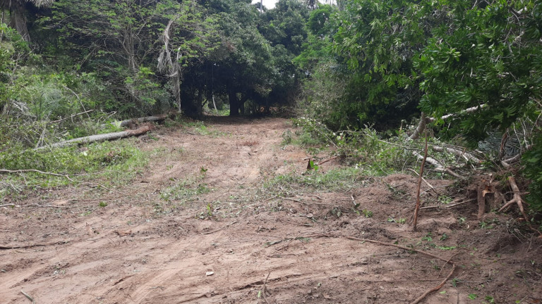 Imagem Terreno à Venda, 300 m²em Barra do Jacuípe - Camaçari Imagem Terreno à Venda, 300 m²em Barra do Jacuípe - Camaçari