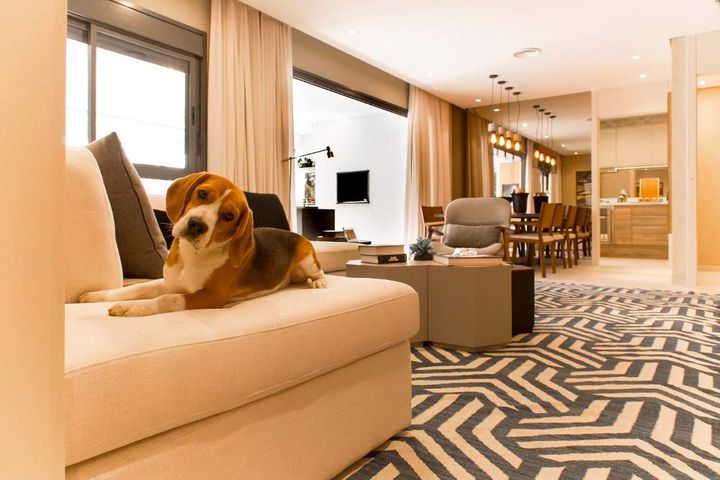 Imagem Apartamento com 2 Quartos à Venda, 73 m² em Cerqueira César - São Paulo Imagem Apartamento com 2 Quartos à Venda, 73 m² em Cerqueira César - São Paulo