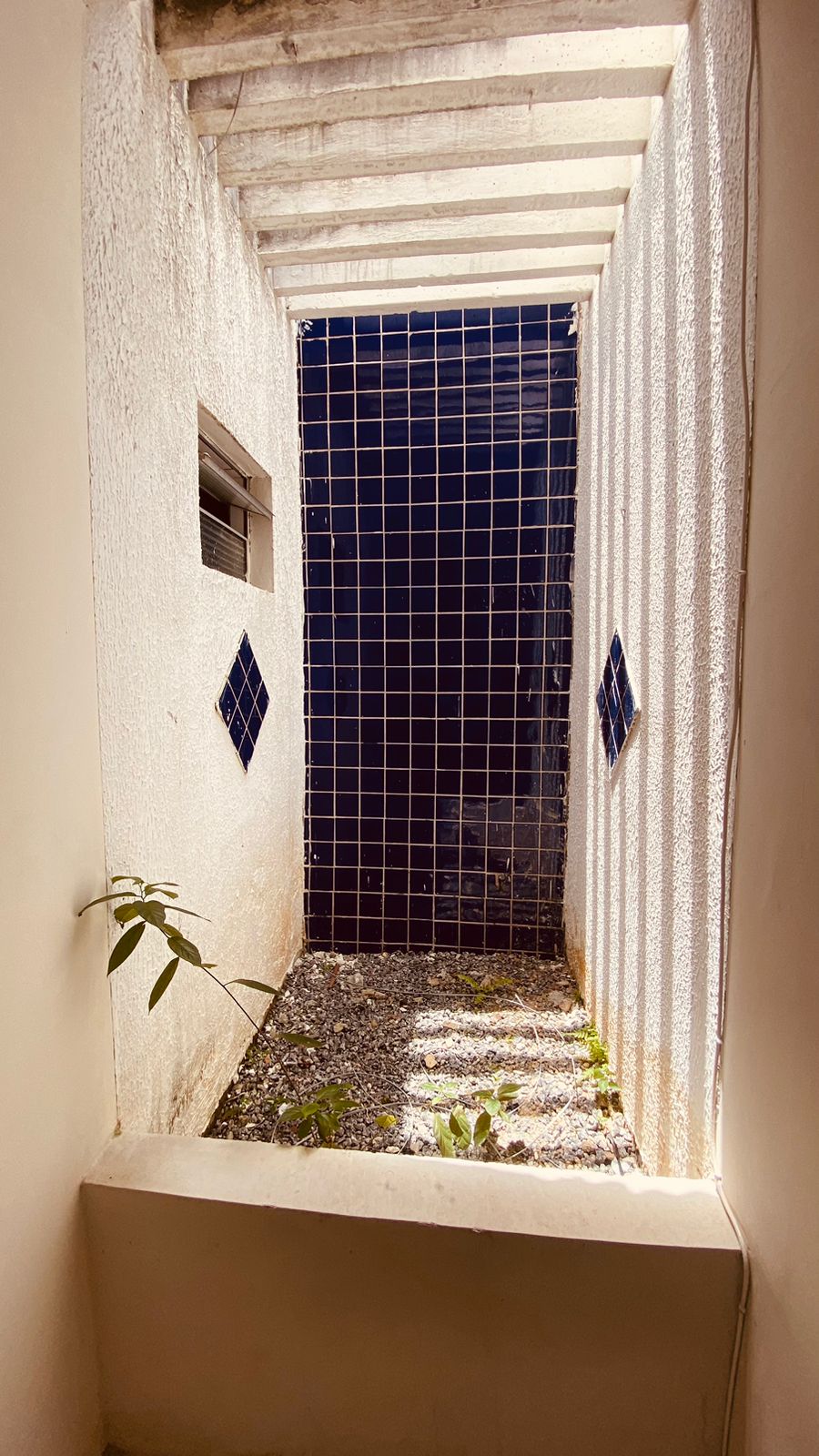 Imagem Casa com 3 Quartos para Alugar, 140 m² em Centro - Campina Grande Imagem Casa com 3 Quartos para Alugar, 140 m² em Centro - Campina Grande