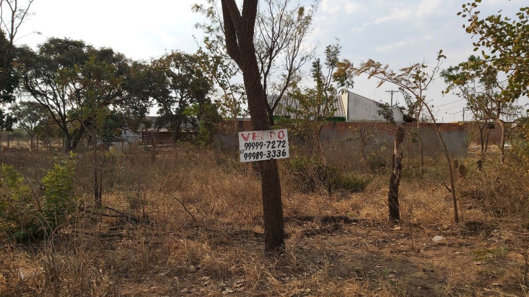 Imagem Terreno à Venda, 200 m² em Parque Novo Século - Campo Grande