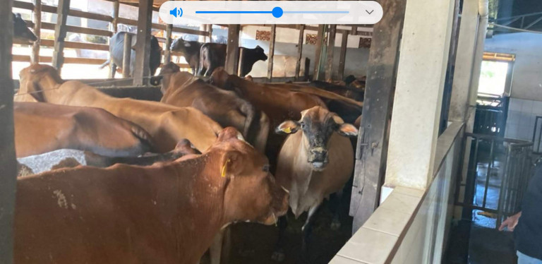 Imagem Chácara com 7 Quartos à Venda, 58.000 m² em Olhos D'água - Alexânia - GO - Alexânia Imagem Chácara com 7 Quartos à Venda, 58.000 m² em Olhos D'água - Alexânia - GO - Alexânia