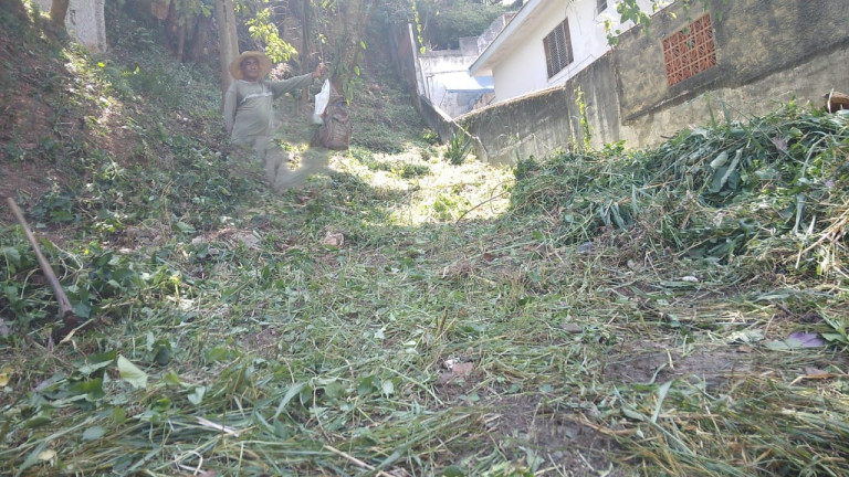 Imagem Terreno à Venda, 500 m² em Vila Gustavo - São Paulo