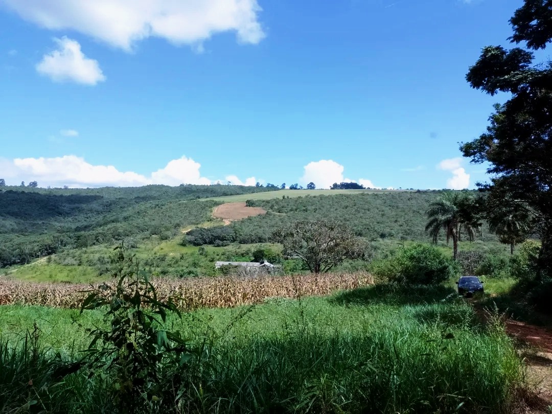 Imagem Fazenda à Venda, 113 Alq SPem Zona Rural - Guapé Imagem Fazenda à Venda, 113 Alq SPem Zona Rural - Guapé