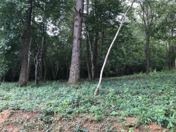 Imagem Terreno em Condomínio à Venda, 1.212 m² em Caxambu - Jundiaí