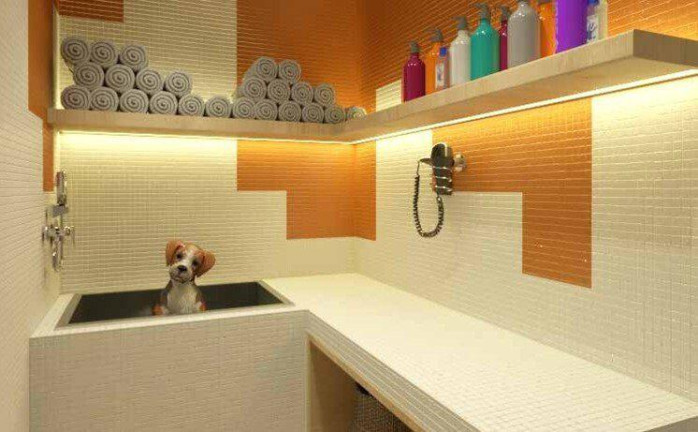 Imagem Apartamento com 2 Quartos à Venda, 56 m² em Tucuruvi - São Paulo