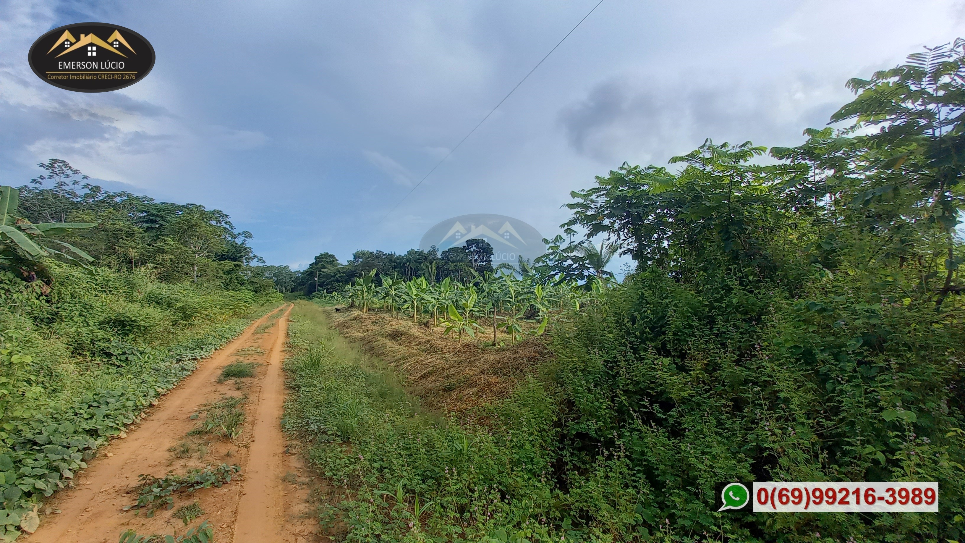 Imagem Fazenda à Venda, 50 HAem Rio Madeira - Porto Velho Imagem Fazenda à Venda, 50 HAem Rio Madeira - Porto Velho