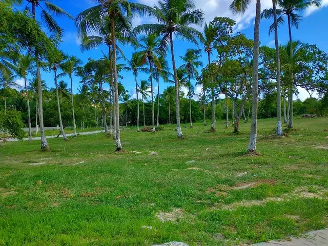 Imagem Terreno em Condomínio à Venda, 200 m²em  Açu Torre - Mata de São João