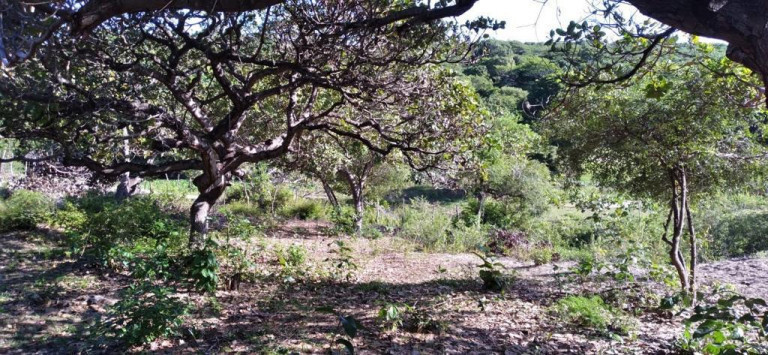 Imagem Terreno à Venda, 5.658 m²em Pajuçara - Natal