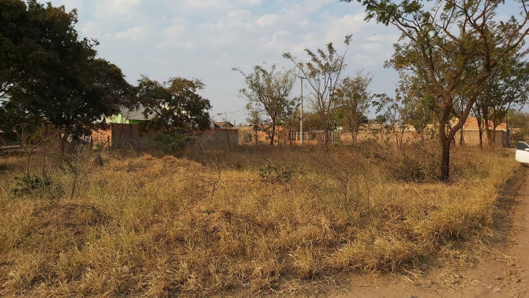 Imagem Terreno à Venda, 200 m² em Parque Novo Século - Campo Grande