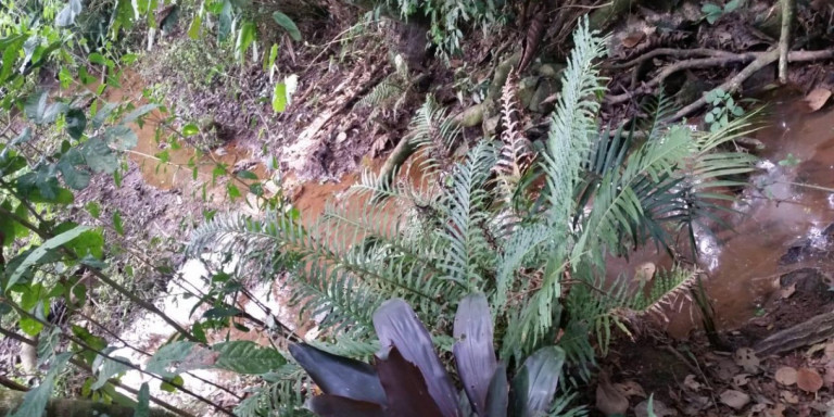 Imagem Chácara com 1 Quarto à Venda, 2.600 m² em Centro - Santa Isabel Imagem Chácara com 1 Quarto à Venda, 2.600 m² em Centro - Santa Isabel