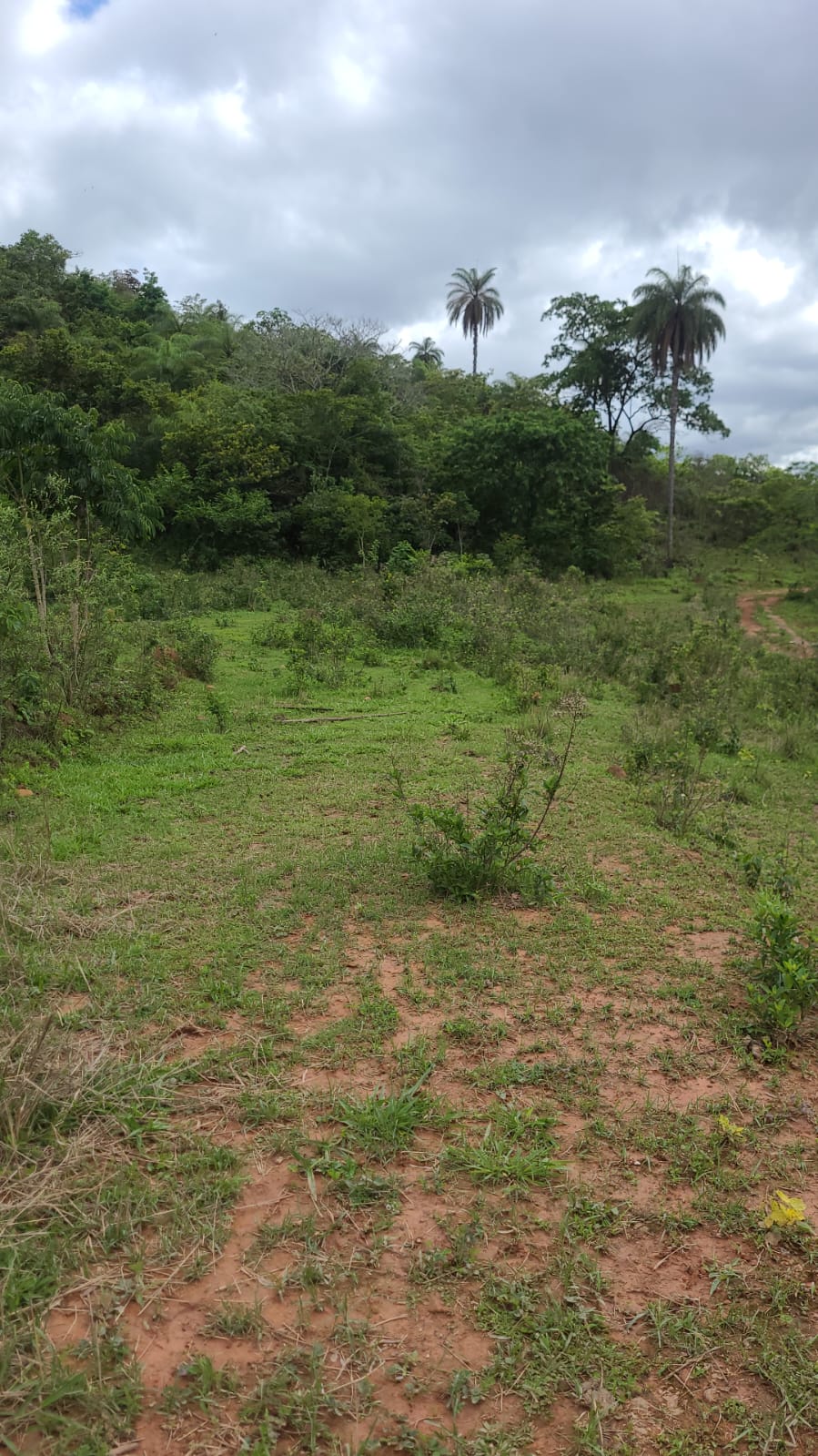 Imagem Terreno à Venda, 21.800 metro em Guadalajara (Justinópolis) - Ribeirão das Neves Imagem Terreno à Venda, 21.800 metro em Guadalajara (Justinópolis) - Ribeirão das Neves