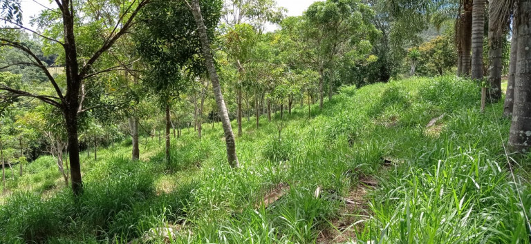 Imagem Terreno à Venda, 450.000 m² em Área Rural de Itabirito - Itabirito