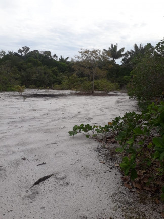 Imagem Chácara à Venda, 34.000 m² em Aparecida - Manacapuru