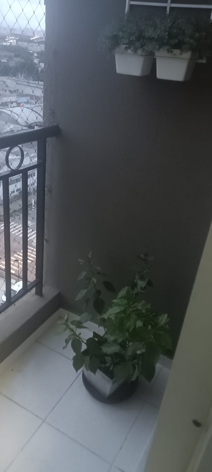 Imagem Apartamento com 2 Quartos à Venda, 63 m²em Parque Novo Mundo - São Paulo Imagem Apartamento com 2 Quartos à Venda, 63 m²em Parque Novo Mundo - São Paulo