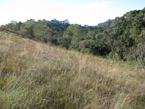 Imagem Terreno à Venda, 1.380 m² em Descansopolis - Campos do Jordão