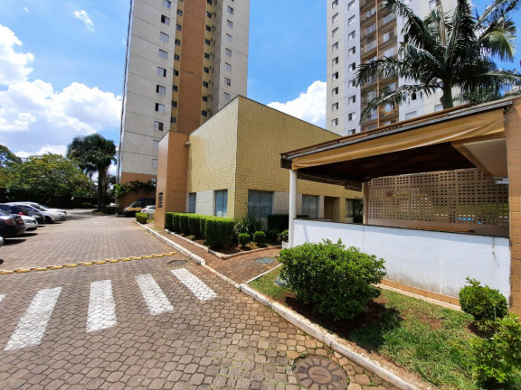 Imagem Apartamento com 3 Quartos à Venda, 60 m² em Cidade Patriarca - São Paulo Imagem Apartamento com 3 Quartos à Venda, 60 m² em Cidade Patriarca - São Paulo