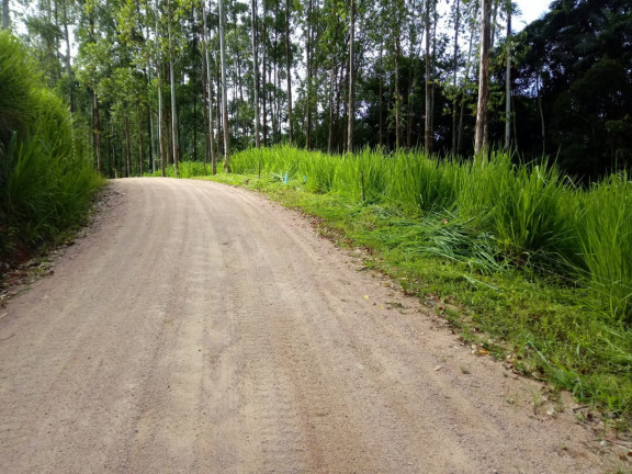 Imagem Terreno à Venda,  em Barracão - Orleans