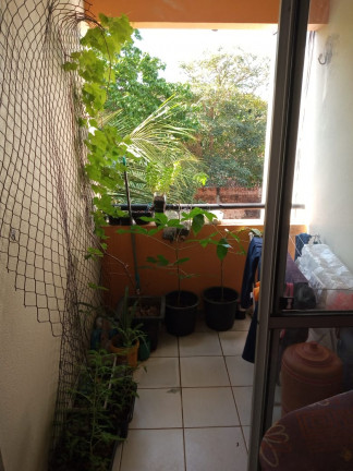 Imagem Apartamento com 2 Quartos para Alugar, 54 m² em Turu - São Luís Imagem Apartamento com 2 Quartos para Alugar, 54 m² em Turu - São Luís