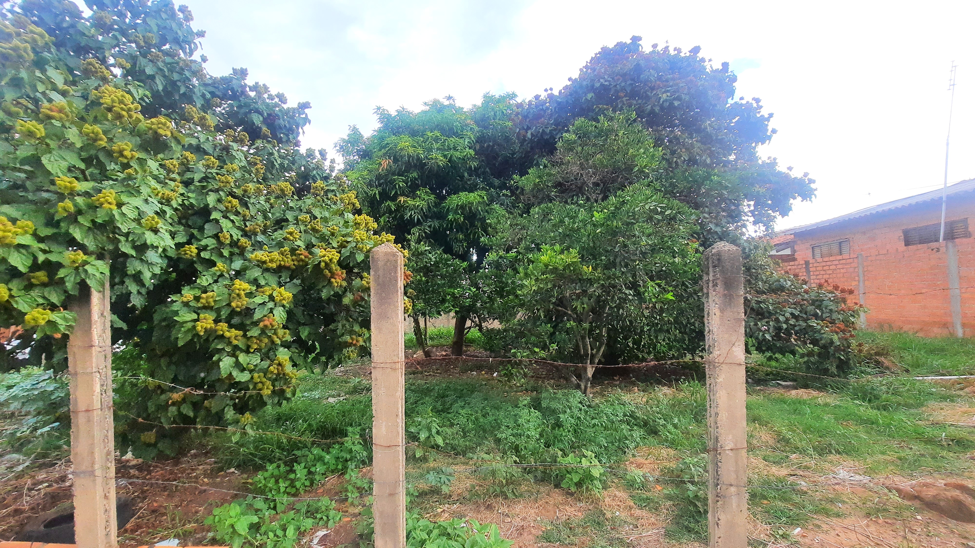 Imagem Terreno à Venda, 400 m²em Parque Marajoara - Botucatu