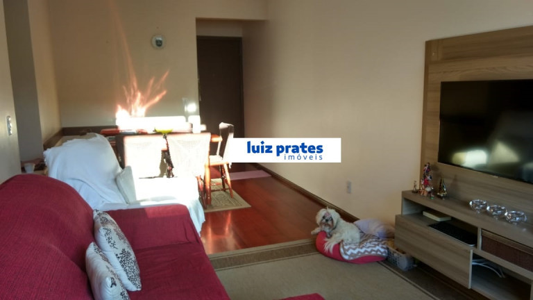 Imagem Apartamento com 3 Quartos à Venda, 77 m² em Cristal - Porto Alegre Imagem Apartamento com 3 Quartos à Venda, 77 m² em Cristal - Porto Alegre