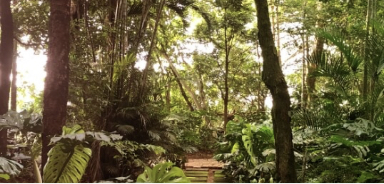Imagem Terreno em Condomínio à Venda, 360 m²em Chácara Alvorada - Indaiatuba