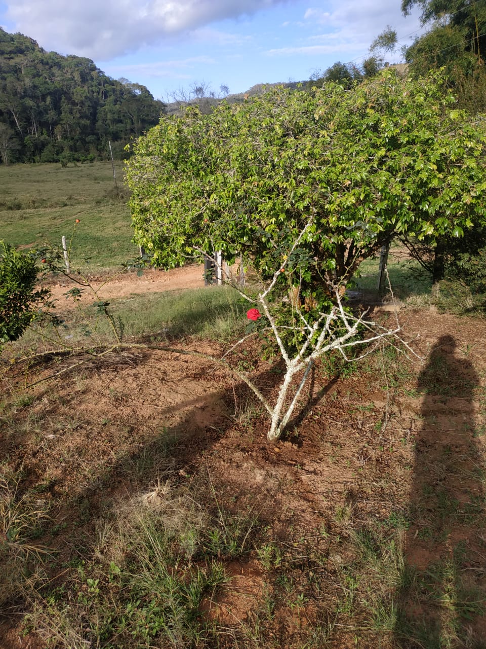 Imagem Imóvel com 4 Quartos à Venda, 200 m²em Canaã - Jambeiro Imagem Imóvel com 4 Quartos à Venda, 200 m²em Canaã - Jambeiro