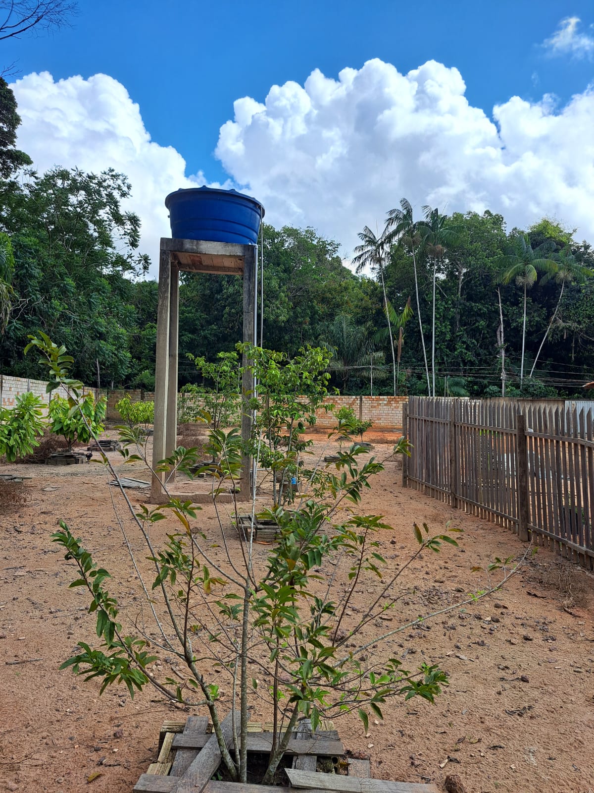 Imagem Chácara com 3 Quartos à Venda ou Temporada, 7 m²em Matinha - Santarém Imagem Chácara com 3 Quartos à Venda ou Temporada, 7 m²em Matinha - Santarém