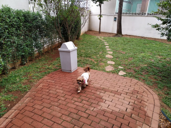 Imagem Apartamento com 3 Quartos à Venda, 113 m² em Vila Gumercindo - São Paulo